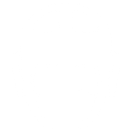 Head