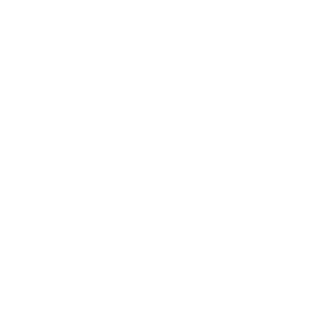 Punching Bags