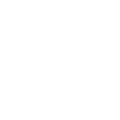 Legs