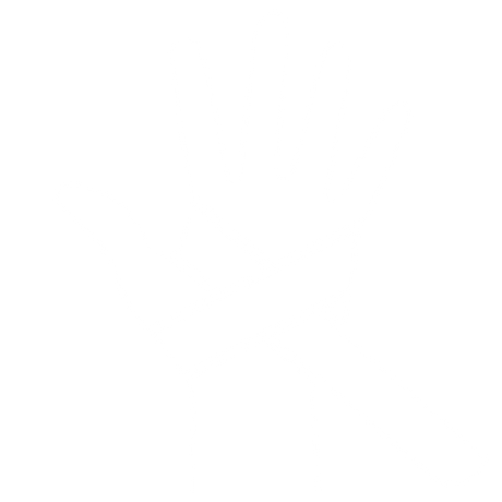 Hands protection