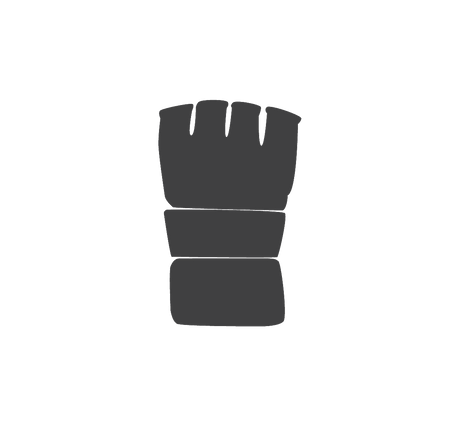 MMA Gloves