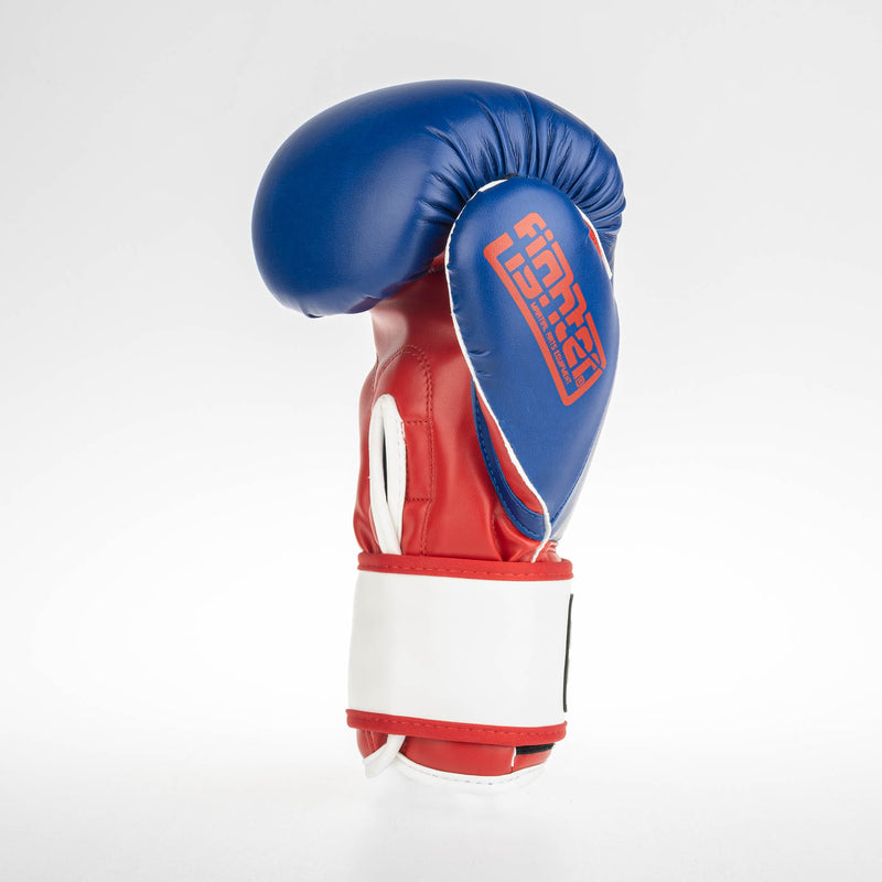 Fighter Boxing Gloves SPEED - tricolor